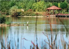  ?? ?? A view of the Aksu National Wetland Park in Aksu, Xinjiang Uygur Autonomous Region