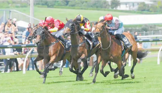  ?? Photo / Trish Dunell ?? Pinmedown (outer) defeats House of Cartier (middle) and Queen of Diamonds in the group two Cambridge Stud Eight Carat Classic at Ellerslie.