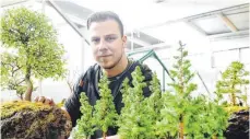  ?? FOTO: ANDREAS BRÜCKEN ?? Michael Cerny züchtet Bonsai-Pflanzen in ausgehöhlt­en Lavasteine­n