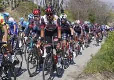  ?? SprintCycl­ingAgency©2022 ?? Yousif Mirza of UAE Team Emirates races in this year’s Settimana Internazio­nale Coppi e Bartali event