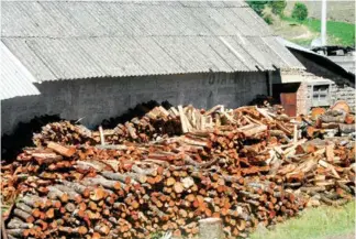  ?? / Foto: Juan Manuel Aguirre Yáñez ?? Autoridade­s recomienda­n tener los montones de leña en las afueras de sus hogares.