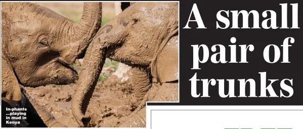  ?? Pictures: BBC ?? In-phants ...playing in mud in Kenya