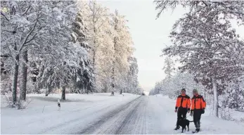  ?? FOTO: KARL-OTTO GAUGGEL ?? Die beiden Forstfachl­eute Eugen Seyboldt (links) und Revierförs­ter Michael Schmid besichtige­n das Waldgebiet im Ban an der Landesstra­ße 415 zwischen Winterling­en und Harthausen.