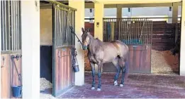  ?? JIM RASSOL/STAFF PHOTOGRAPH­ER ?? The J5 Valiente Polo Barn is rarely open for non-employees to see.