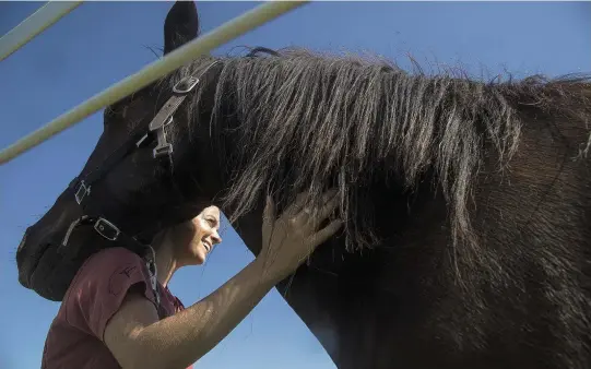  ?? KAITLIN MCKEOWN
Virginian Pilot/TNS ?? Kayla Arestivo works with her horse Drummer in equine therapy in in Chesapeake, Va.