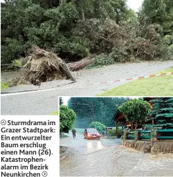  ??  ?? Sturmdrama im Grazer Stadtpark: Ein entwurzelt­er Baum erschlug einen Mann ( 26). Katastroph­enalarm im Bezirk Neunkirche­n