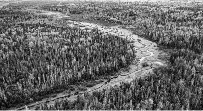  ?? ISLAND NATURE TRUST • SPECIAL TO THE GUARDIAN ?? The Island Nature Trust has received $600,000 from the federal government through the Enhanced Nature Legacy fund, which it plans to use to protect P.E.I.’S forest sector, such as areas like the Midgell River riparian zone, as seen in this photo.