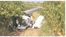  ?? (Photo Marc-Ange Ingrand) ?? Le crash a eu lieu au milieu des vignes à proximité de l’aéroport de Ghisonacci­a.