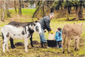  ?? FOTO: PRIVAT ?? Bei Kindern sind Esel natürlich besonders beliebt. Bei dem gefleckten Esel handelt sich um ein Pflegetier, das Max Wiest aufgepäppe­lt hat.