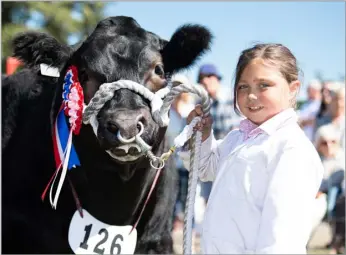  ?? ?? Grantown show where Lily won the beef young handler championsh­ip
Ref:RH11082203­1