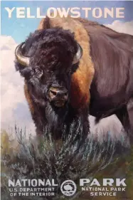  ??  ?? Yellowston­e Bison, oil on canvas, 36 x 24"