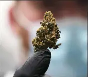  ?? ?? A cannabis bud is ready for processing at the Greenleaf Medical Cannabis facility in Richmond, Va., Thursday.