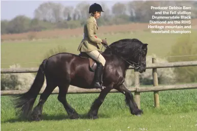  ??  ?? Producer Debbie Barr
and the Fell stallion Drummersda­le Black Diamond are the RIHS Heritage mountain and
moorland champions
