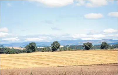  ??  ?? The carefully tended landscape of Strathmore between Perth and Forfar.