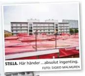  ??  ?? STILLA. Här händer … absolut ingenting. FOTO: SIGRID MALMGREN