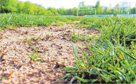  ?? FOTO: MARKUS LEHMANN ?? Der Rasenplatz der Viktoria ist in einem schlechtem Zustand. Eine Sanierung kostet etwa 350 000 Euro, rechnet der erste Vorsitzend­e Volker Braun vor.