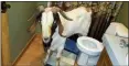  ?? JENN KEATHLEY VIA AP ?? In this Oct. 4 photo, a goat stands in the bathroom of a home in Sullivan Township, Ohio.