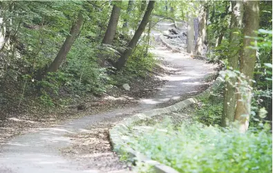  ?? PETER J. THOMPSON / NATIONAL POST FILES ?? Toronto boasts the largest urban ravine system in the world. In all, its 11,000 square kilometres — including
the Rosedale Park ravine system, pictured — is 3,000 times the size of Central Park in New York City.