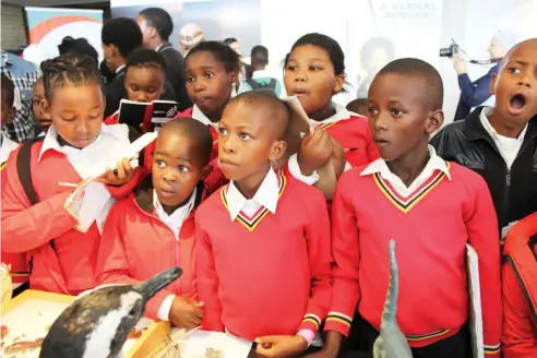  ?? Sue Maclennan Photo: ?? Pupils in awe at the Iziko Museums exhibit at Scifest 2017. This year's event promises an array of exciting activities and exhibits.
