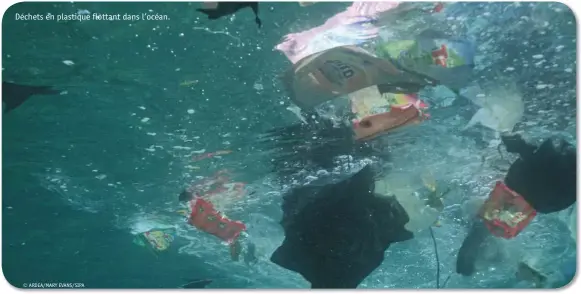  ??  ?? © ARDEA/MARY EVANS/SIPA Déchets en plastique flottant dans l’océan.