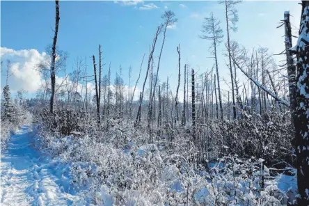  ?? Gesehen von Reinhard Geßler ?? Winterstim­mung in Fuchsenloc­h