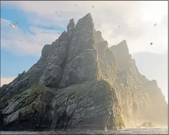  ?? ?? Gannets encircle the cliffs of St Kilda, the setting for Atlantic