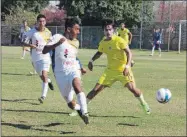  ??  ?? El venado Marco Montelongo, de amarillo, aprieta a un rival, ayer en Tamanché. A la izquierda, César Molina y Jorge Cruz disputan un balón aéreo