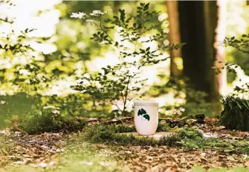  ?? FOTO: FRIEDWALD ?? In einer biologisch abbaubaren Urne wird die Asche des Verstorben­en zwischen Bäumen bestattet.