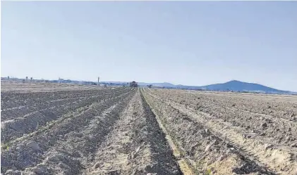  ?? SAMUEL SÁNCHEZ ?? Explotació­n lista para el cultivo del tomate para industria cerca de Don Benito.