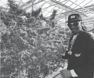  ?? POSTMEDIA NEWS/FILES ?? Rap icon Snoop Dogg tours Tweed Farms in Niagara-on-the-Lake, the largest medical marijuana greenhouse in the world, to catch a glimpse and a whiff of some of the product.