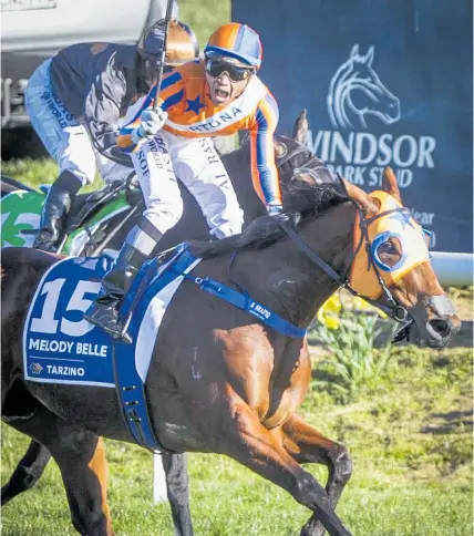  ?? Hawke’s Bay Today ?? Shafiq Rusof celebrates Melody Belle’s win in the group one Tarzino Trophy at Hastings on Saturday.