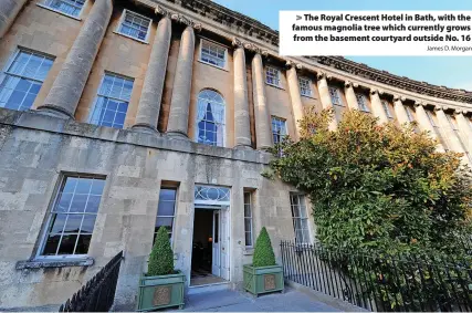  ?? James D. Morgan ?? The Royal Crescent Hotel in Bath, with the famous magnolia tree which currently grows from the basement courtyard outside No. 16