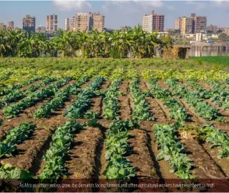  ??  ?? As African urban centres grow, the demands facing farmers and other agricultur­al workers have never been so high