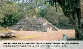  ??  ?? Las ruinas de copán son una Visita obligada DEL Lugar/ copán Ruins is a most when visiting these Place.