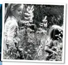  ??  ?? VERY HAPPY CAMPERS: Mariella in Ireland as a child, above; and setting sail in the Caribbean in 2000, left