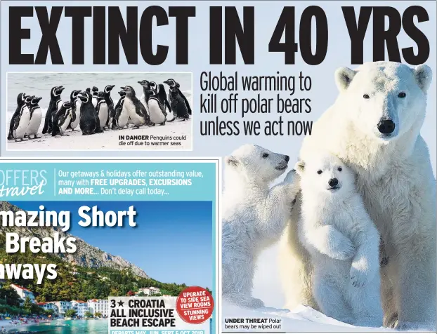  ??  ?? IN DANGER Penguins could die off due to warmer seas UNDER THREAT Polar bears may be wiped out