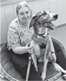  ??  ?? Bide Awhile volunteer Chelsea Pugh keeps Popeye, the shelter's only canine resident, company during the Dartmouth facility's 50th anniversar­y open house on Saturday.