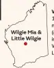  ??  ?? Wilgie Mia in use in 1905 (left). Wajarri man Carl Hamlett (above) explains the importance of Little Wilgie to his nephew Liam Bell.