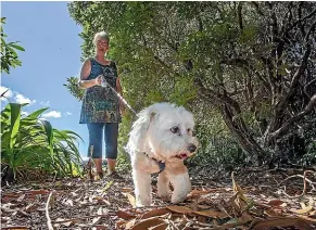  ?? WARWICK SMITH/STUFF ?? Debbie Boniface hopes her mother’s pet dog Ben may find her 92-year-old mother’s handbag, which went missing at the Esplanade.