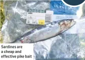  ??  ?? Sardines are a cheap and effective pike bait