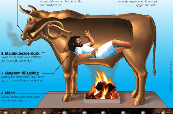  ??  ?? 5. Höra tjuren ryta Offrens skrik passerade genom tjurens näsborrar och fick det att låta som om djuret röt. 4. Manipulera­de skrik En rad rör i tjurens huvud förstärkte och förvrängde offrets skrik.3. Långsam tillagning Värmen från elden gjorde tjuren till en ugn och rostade långsamt offret inuti.2. EldenLucka­n stängdes och elden tändes under tjurens mage. 1. Genom falluckan Offret placerades inuti den ihåliga mässingtju­ren genom en fallucka på ryggen eller sidan.