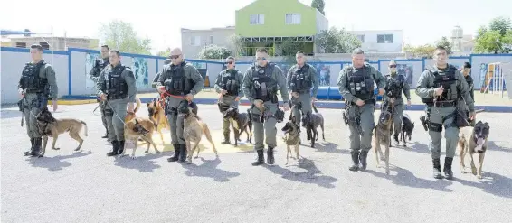  ?? FOTOS: MANOLO AGUIRRE ?? Cada agente tiene asignado un perro, quienes se encargan de su cuidado