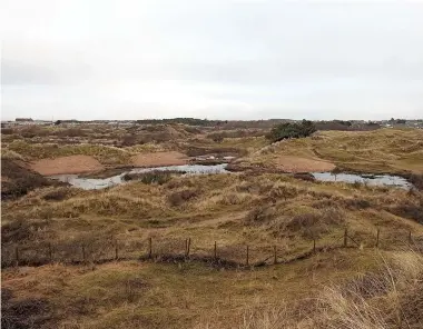  ?? Pictures by JOHN DEMPSEY ?? ● The grazed dunes at Ainsdale Local Nature Reserve – thanks to the Belties and Herdwicks