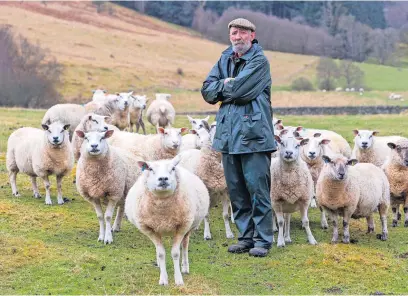  ?? ?? On alert Alastair Kininmonth revealed his livestock were taken under the cover of darkness