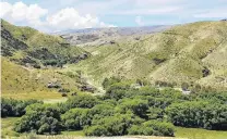  ?? PHOTO: JANET GREGORY, MPI ?? Hopes for pilot project . . . The Lindis River Catchment Group is hoping for further funds to continue to work removing willows along the river and Cluden Stream.