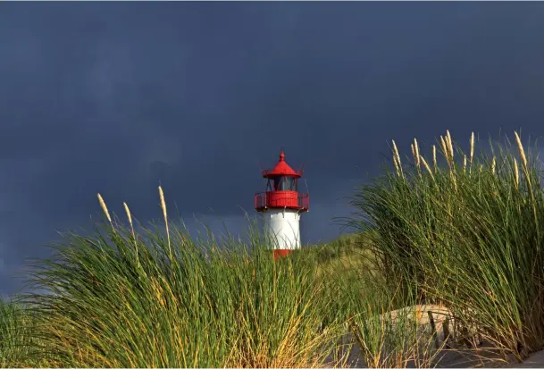  ?? Sony NEX-7 | 10 mm | ISO 100 | f/11 | 1/125 s ?? Leuchtturm Der tiefe Aufnahmest­andpunkt macht zum einen die Grasbüsche­l zu Vordergrun­dobjekten, zum anderen hebt sich der rote Leuchtturm optimal vom dunklen Gewitterhi­mmel ab. Es war ziemlich stürmisch, aber zwischen den auffrische­nden Brisen gab es...