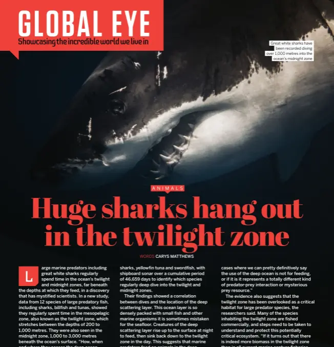 ANIMALS Huge sharks hang out in the twilight zone - PressReader