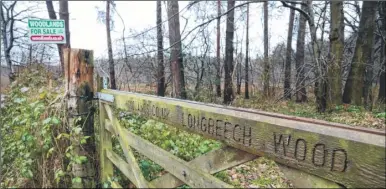  ??  ?? The Woodland Trust has bought Longbeech Wood near Charing and is inviting people to look at 3d images from drone pictures