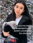  ??  ?? Lucy has been campaignin­g for better conditions for chickens