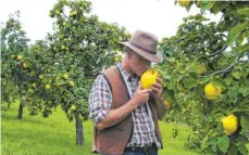  ?? FOTOS (2): MARIUS WITTUR/MUSTEA QUITTENHOF/DPA ?? Marius Wittur ist Quittenbau­er und -winzer aus Untereisen­heim in Franken.